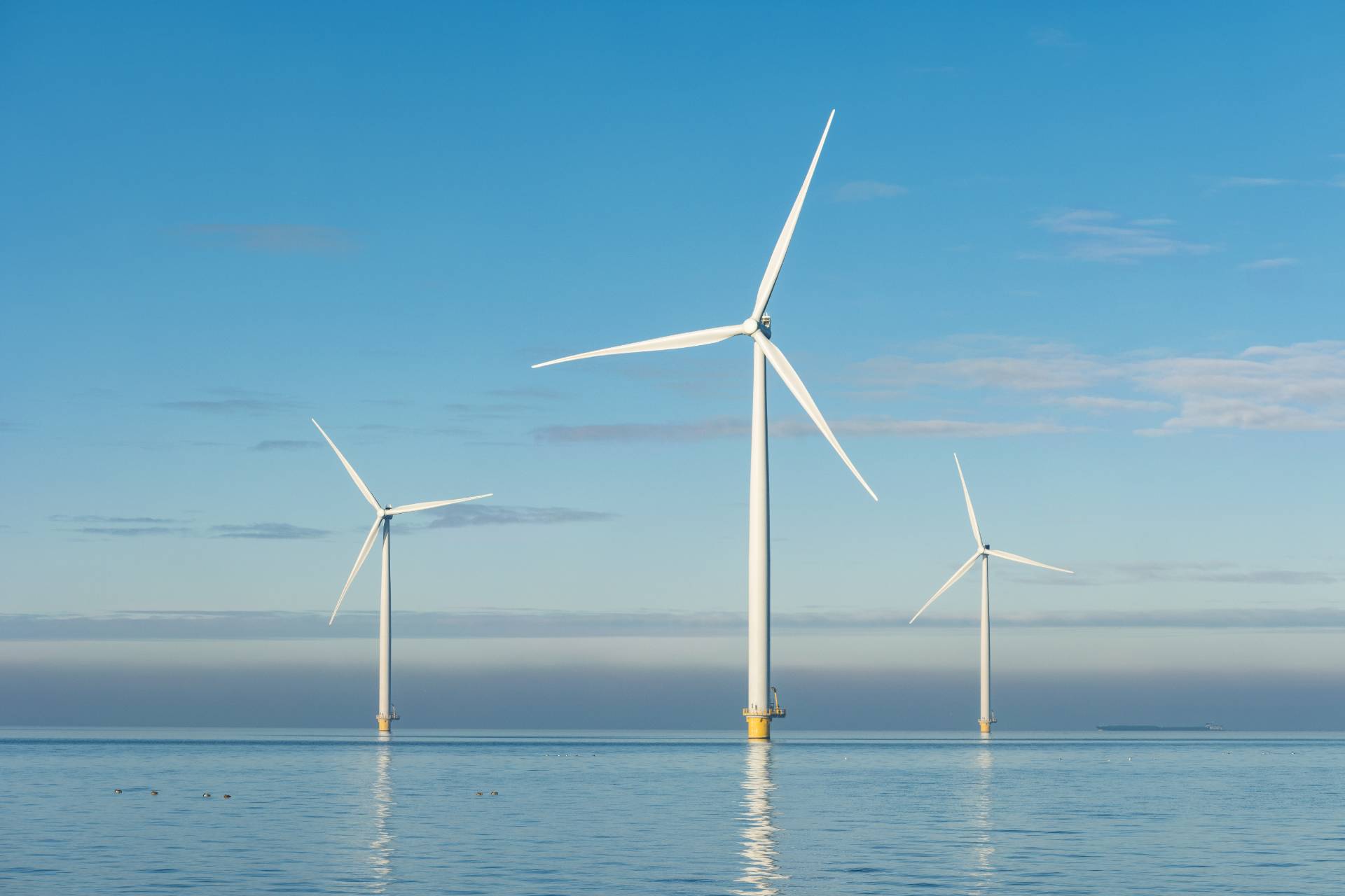 Riverside Oceanic Offshore Windfarm 560974420